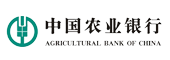 开云体育在线直播